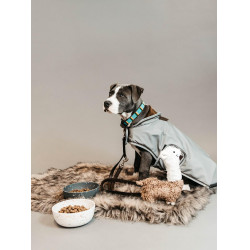 Colar para cão em pérolas feitas à mão Kentucky Azul claro Colar para cão em pérolas feitas à mão Kentucky Azul claro