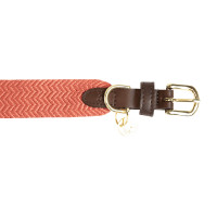 Coleira para cão Jacquard Kentucky Terracota Laranja
