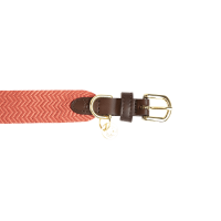 Coleira para cão Jacquard Kentucky Terracota Laranja Coleira para cão Jacquard Kentucky Terracota Laranja