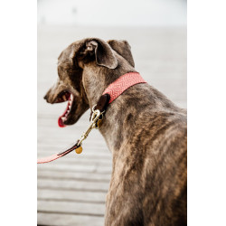 Coleira para cão Jacquard Kentucky Terracota Laranja