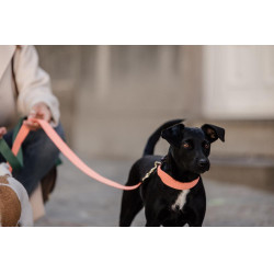 Coleira para cão Jacquard Kentucky Laranja néon