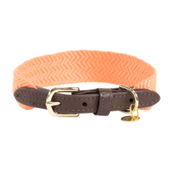 Coleira para cão Jacquard Kentucky Laranja néon Coleira para cão Jacquard Kentucky Laranja néon