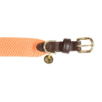 Coleira para cão Jacquard Kentucky Terracota Laranja Coleira para cão Jacquard Kentucky Terracota Laranja