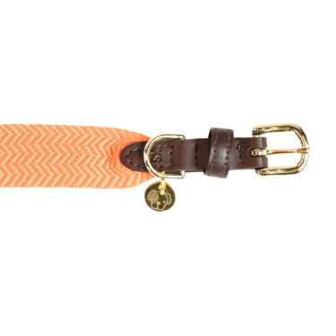 Coleira para cão Jacquard Kentucky Laranja néon Coleira para cão Jacquard Kentucky Laranja néon
