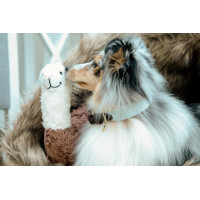 Coleira para cão Jacquard Kentucky Terracota Laranja
