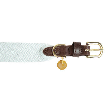 Coleira para cão Jacquard Kentucky Azul claro