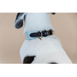 Coleira para cão Jacquard Kentucky Azul claro