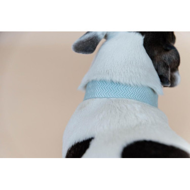 Coleira para cão Jacquard Kentucky Azul claro