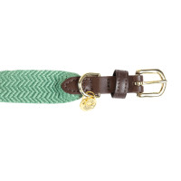 Coleira para cão Jacquard Kentucky Terracota Laranja