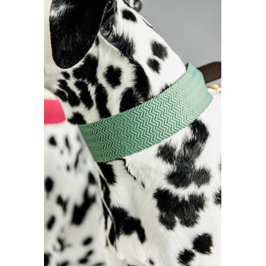 Coleira para cão Jacquard Kentucky Verde-oliva Coleira para cão Jacquard Kentucky Verde-oliva