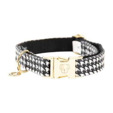 Coleira para cão Pied-de-poule Kentucky Preto