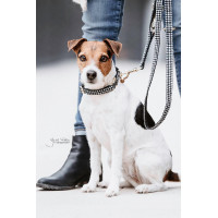 Coleira para cão Pied-de-poule Kentucky Preto