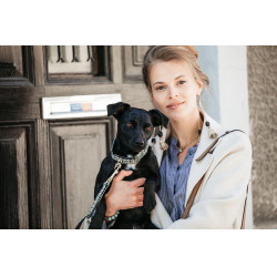 Coleira para cão Pied-de-poule Kentucky Castanho