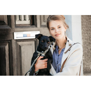 Coleira para cão Pied-de-poule Kentucky Castanho