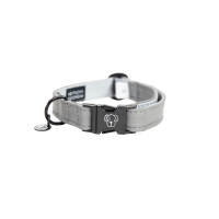 Coleira refletora para cão Kentucky Prata