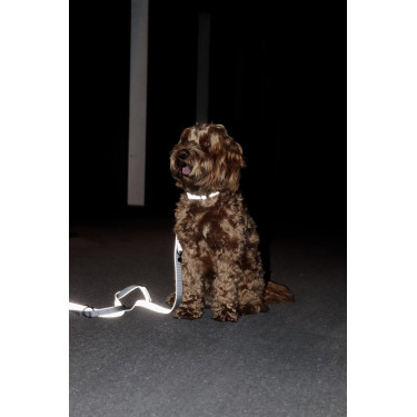 Coleira refletora para cão Kentucky Coleira refletora para cão Kentucky