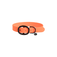 Coleira para cão Soft Rubber Kentucky Laranja néon Coleira para cão Soft Rubber Kentucky Laranja néon