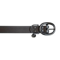 Coleira para cão Soft Rubber Kentucky Laranja néon Coleira para cão Soft Rubber Kentucky Laranja néon