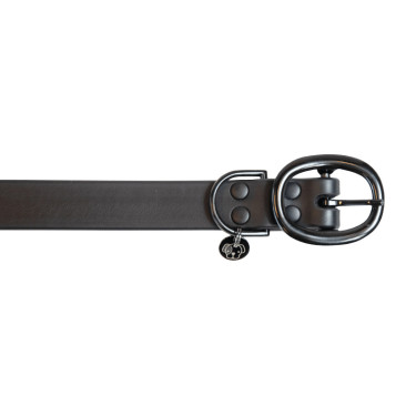 Coleira para cão Soft Rubber Kentucky Preto