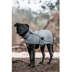 Coleira para cão Soft Rubber Kentucky Preto Coleira para cão Soft Rubber Kentucky Preto