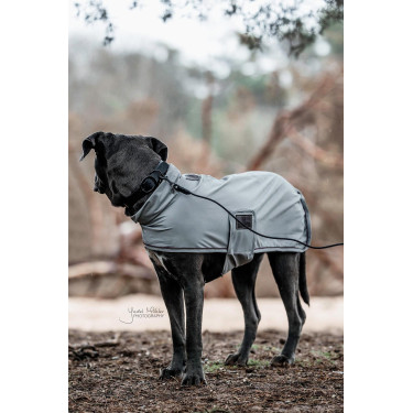 Coleira para cão Soft Rubber Kentucky Preto Coleira para cão Soft Rubber Kentucky Preto