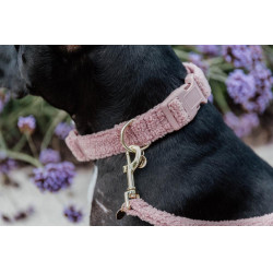 Coleira para cão Teddy Fleece Kentucky Rosa velho