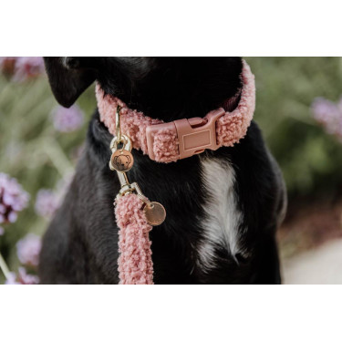 Coleira para cão Teddy Fleece Kentucky Rosa velho