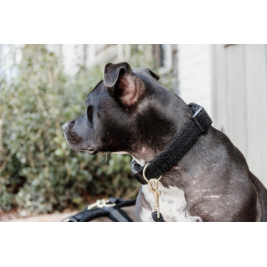 Coleira para cão Teddy Fleece Kentucky Preto