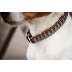 Coleira para cão Triangle Kentucky Coleira para cão Triangle Kentucky