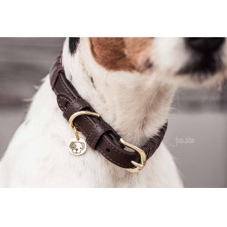 Coleira para cão Triangle Kentucky Coleira para cão Triangle Kentucky