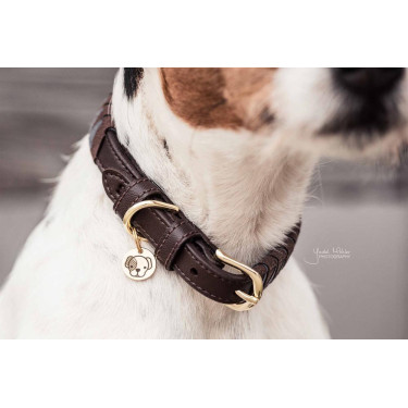 Coleira para cão Triangle Kentucky Coleira para cão Triangle Kentucky