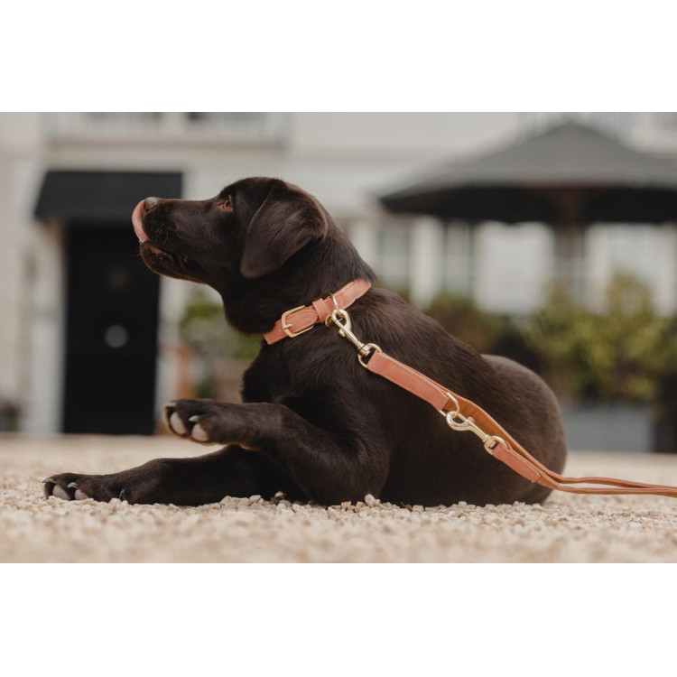 Coleira para cão Vegan Leather Kentucky
