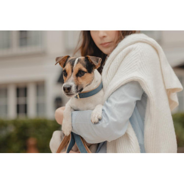 Coleira para cão Vegan Leather Kentucky Marinho Azul-marinho