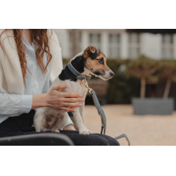 Coleira para cão Vegan Leather Kentucky Marinho Azul-marinho
