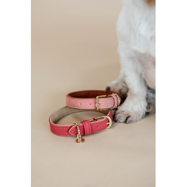 Coleira para cão Vegan Leather Kentucky Vermelho
