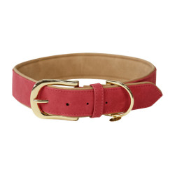 Coleira para cão Vegan Leather Kentucky Vermelho