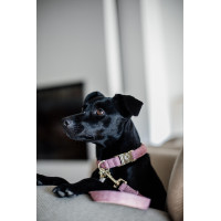Coleira para cão Wool Kentucky Rosa claro