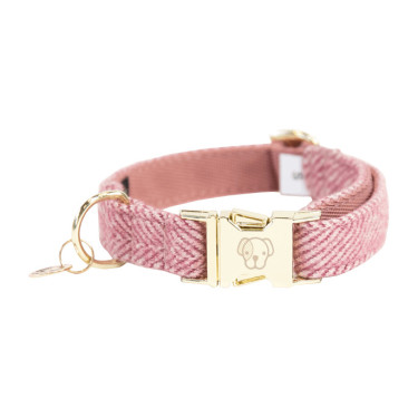 Coleira para cão Wool Kentucky Rosa claro Coleira para cão Wool Kentucky Rosa claro