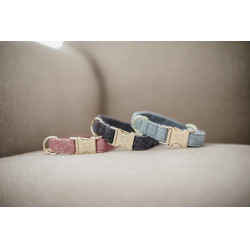 Coleira para cão Wool Kentucky Cinzento