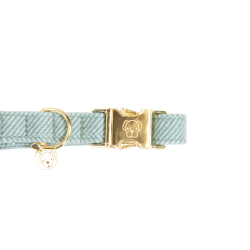 Coleira para cão Wool Kentucky Azul claro