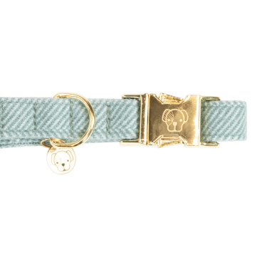 Coleira para cão Wool Kentucky Azul claro