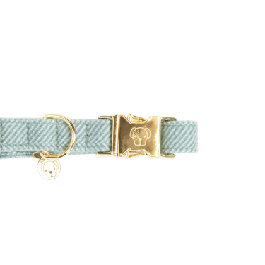 Coleira para cão Wool Kentucky Azul claro