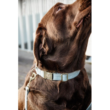 Coleira para cão Wool Kentucky Azul claro