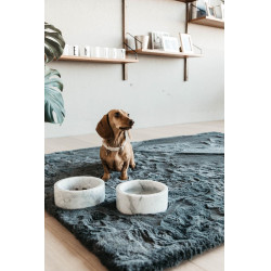 Coleira para cão Wool Kentucky Bege Coleira para cão Wool Kentucky Bege