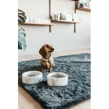 Coleira para cão Wool Kentucky Bege Coleira para cão Wool Kentucky Bege