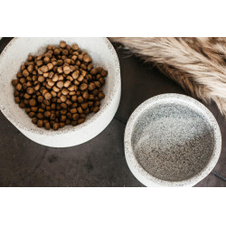 Tigela para cão Granito Kentucky Tigela para cão Granito Kentucky