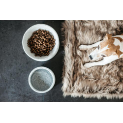 Tigela para cão Granito Kentucky Tigela para cão Granito Kentucky