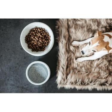 Tigela para cão Granito Kentucky Tigela para cão Granito Kentucky