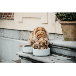Tigela para cão Granito Kentucky