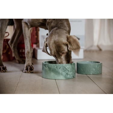 Tigela para cão Mármore Kentucky Verde pinho